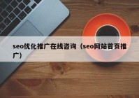 seo优化推广在线咨询（seo网站首页推广）